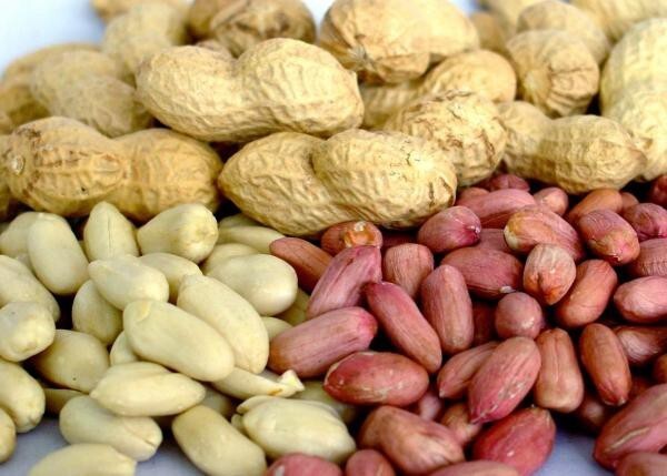 А знаете ли вы, что арахис используется в производстве динамита ?