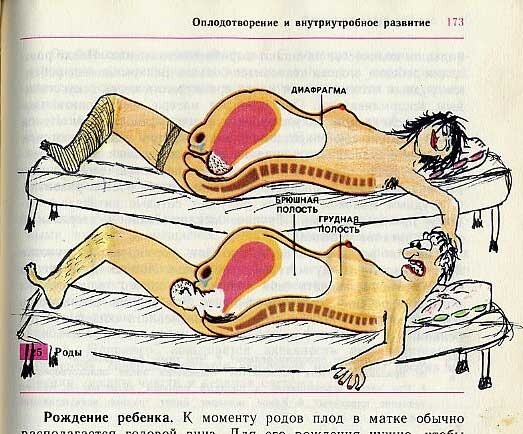 Рисунки в учебниках. Часть 2