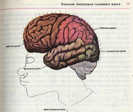 Рисунки в учебниках. Часть 2