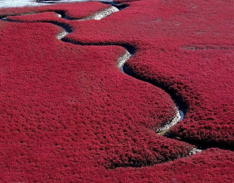 2. Красный пляж, Китай