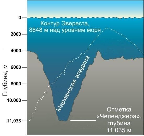 9. Самое глубокое место на Земле - "Бездна Челленджера", ее глубина - 10994 ± 40 м ниже уровня моря