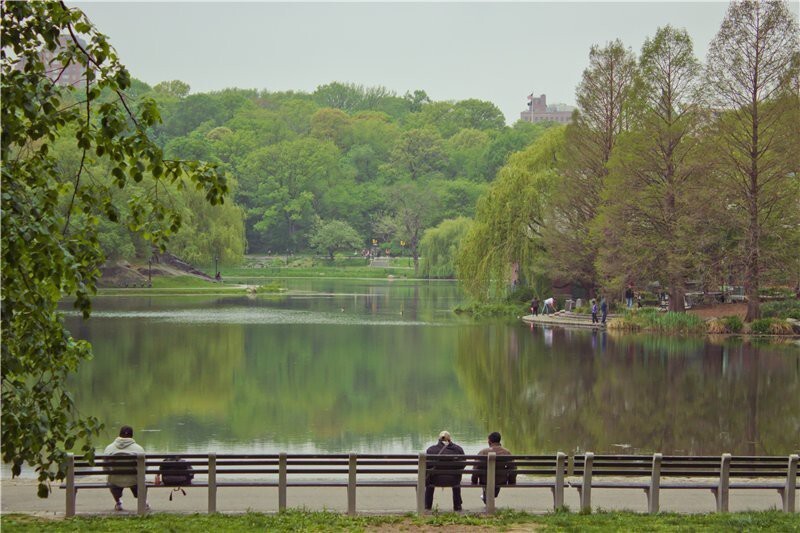 Озеро Harlem Meer.