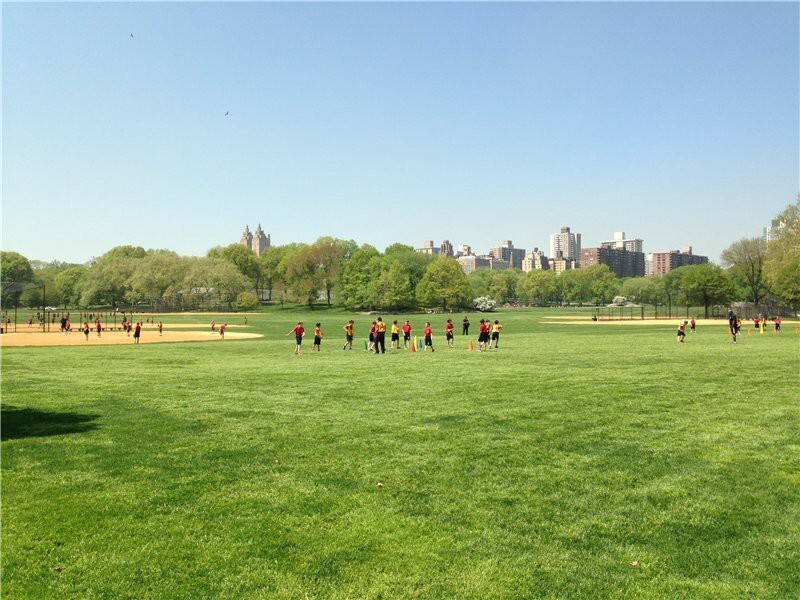 Манхеттен. Центральный парк. Настоящий газон и молодежь, спорт.