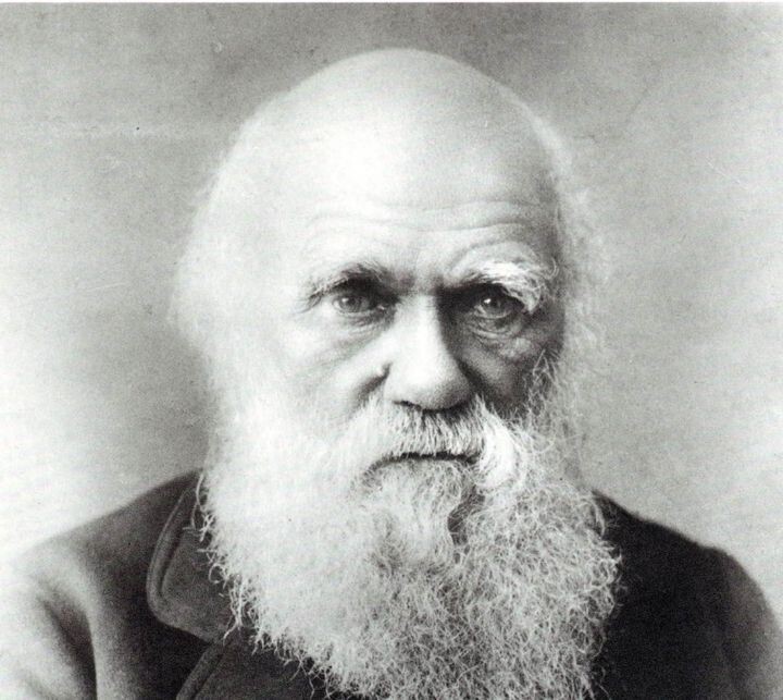 7. Дарвин отрекся от своей теории