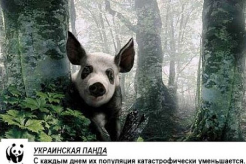 Украина сможет экспортировать в США субпродукты приматов и рептилий