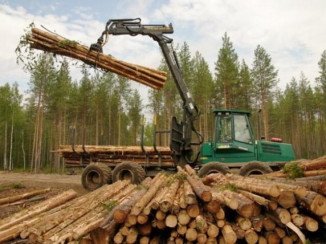 Ограничения на торговлю лесом озадачило Финляндию