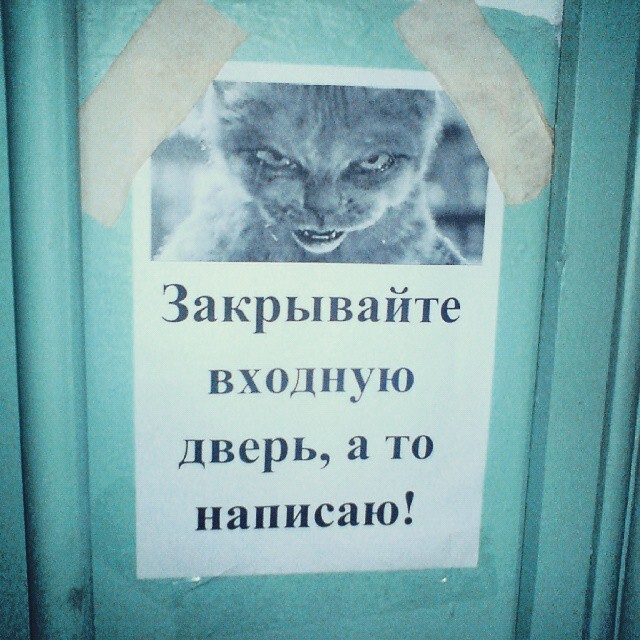 Не злите котика! 