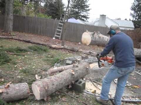 Этот человек резал упавшее дерево на заднем дворе и дерево вернулось на свое ... 