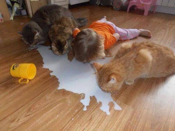Кому молока?