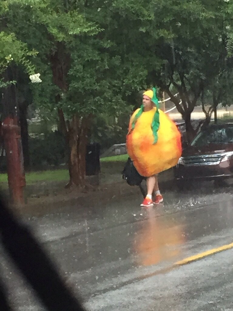Персик под дождем