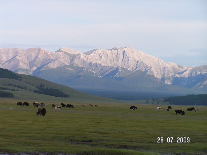 Воспоминания о Монголии
