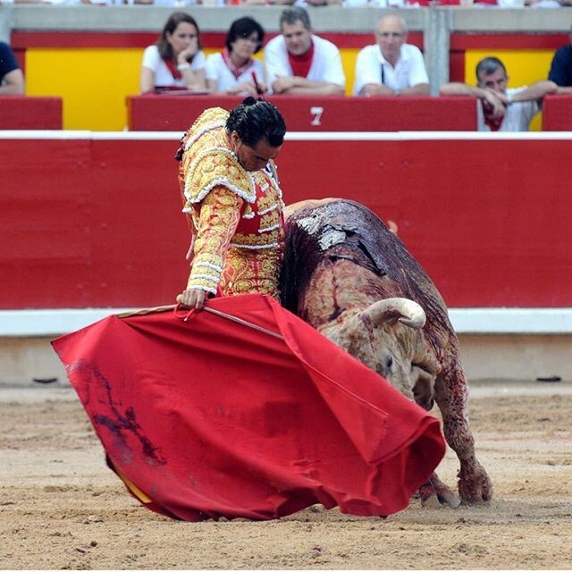 Энсьерро – традиционный забег с быками в Испании