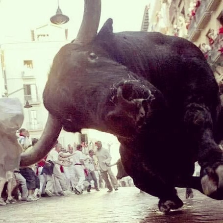 Энсьерро – традиционный забег с быками в Испании
