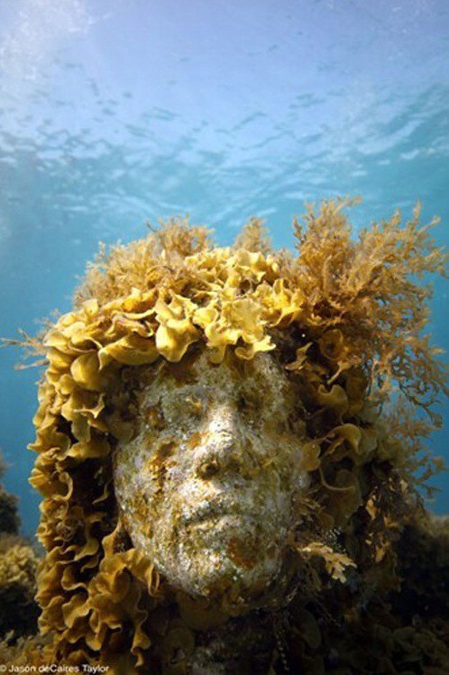Обрастание кораллами, полипами и водорослями происходит так быстро, что через год после посещения музея подводных скульптур вы его не узнаете
