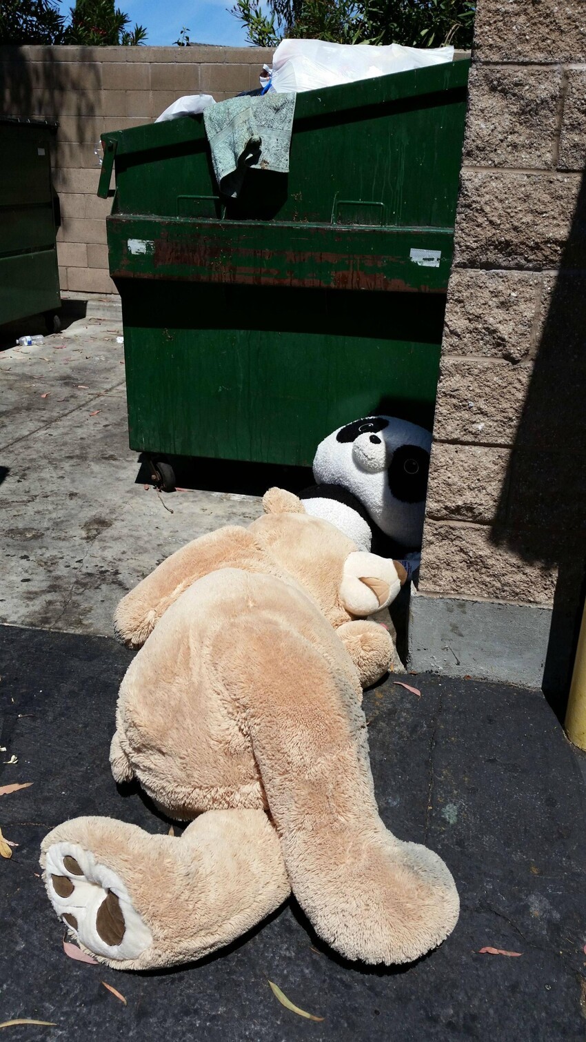 Медвежонок на мусорке
