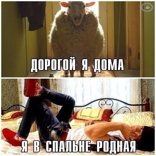 Белый пост, или немного НЕ толерантности