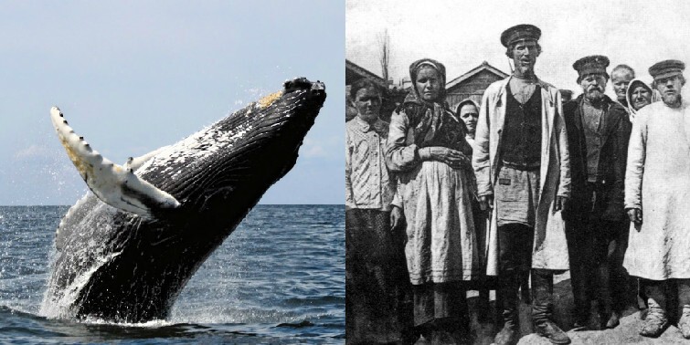 17. До сих пор существуют киты, которые были живы во времена крепостного права в России