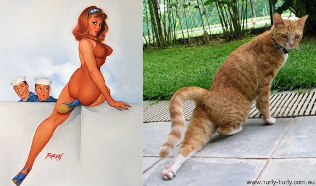 Игривый арт-проект "Cats That Look Like Pin Up Girls" от Рэйчел Эслетт