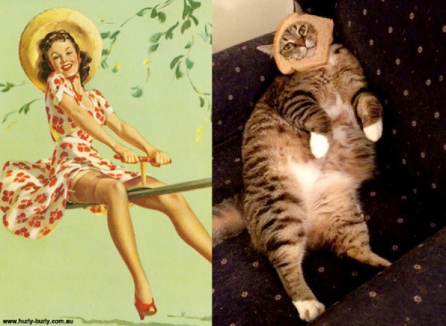 Игривый арт-проект "Cats That Look Like Pin Up Girls" от Рэйчел Эслетт