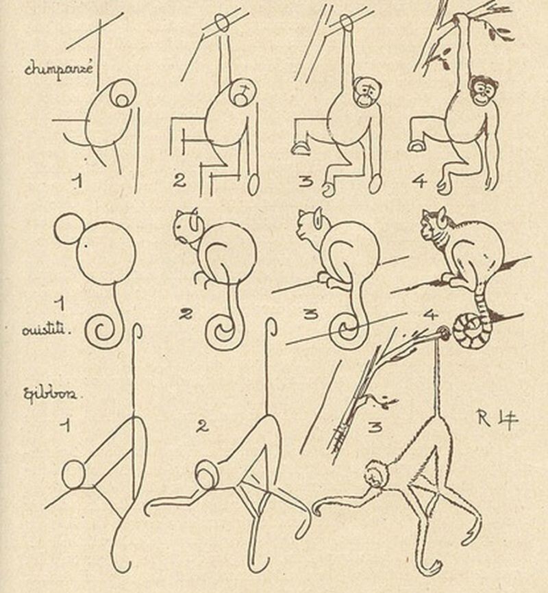 10. Обезьянки