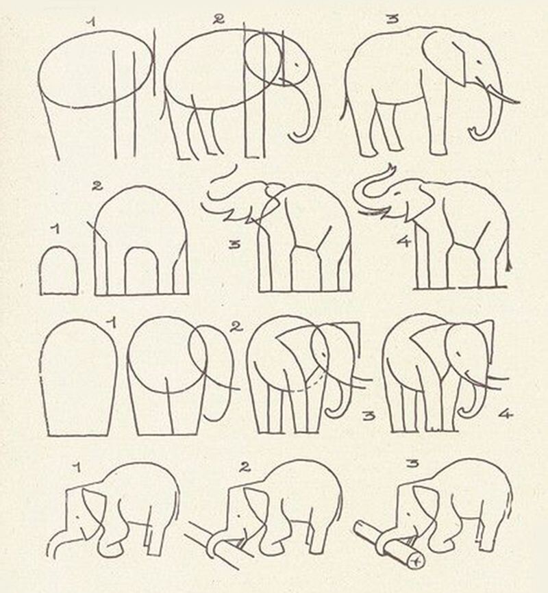 11. Слон