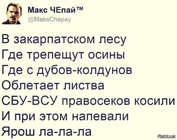 Перестрелку в Мукачево устроила Россия. + подборка картинок из солянки