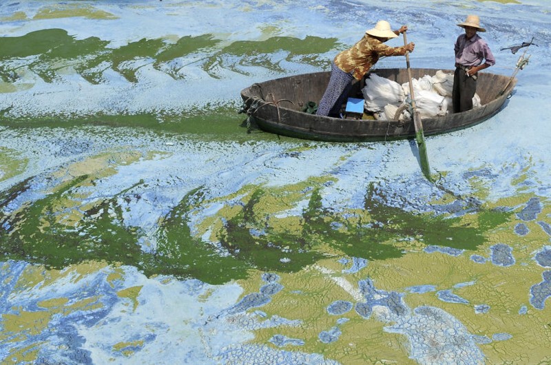 1. Рыбаки на лодке в заросшем ряской озере Чаоху в Хэфэе, провинция Аньхой