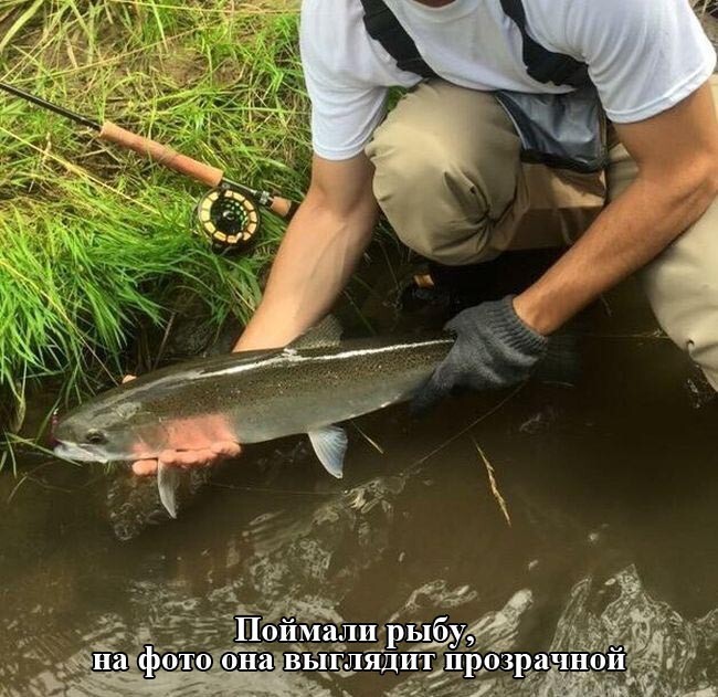 Прикольные картинки с надписями