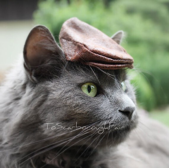 Модная кошачья кепка