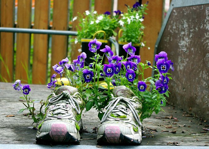 Обувь и цветы