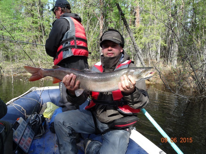 Рыбалка на тайменя в Якутии, в районе рек Ундюлюнг и Дянышка