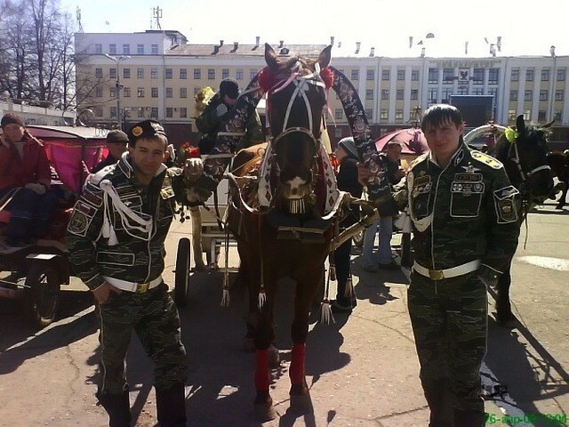 Дембеля, дембеля, дембеля 