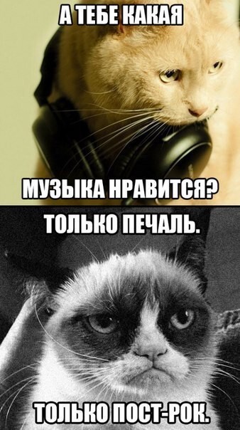 Grumpy Cat покоряет просторы русскоязычного юмора