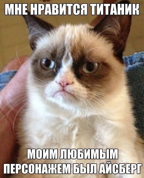 Grumpy Cat покоряет просторы русскоязычного юмора