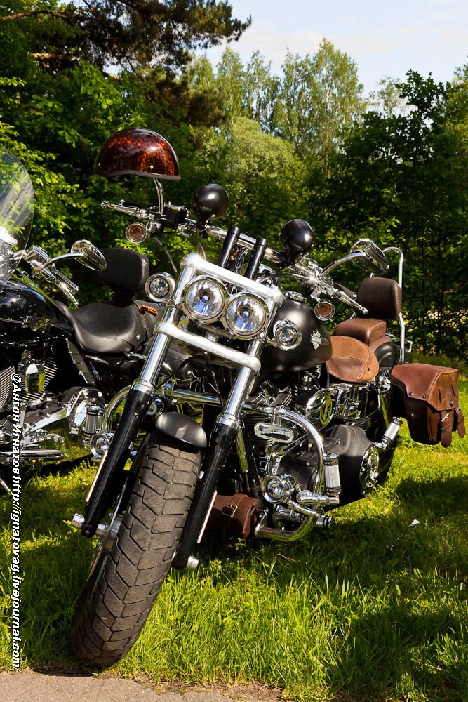 BIKERS BROTHERS FESTIVAL 2015