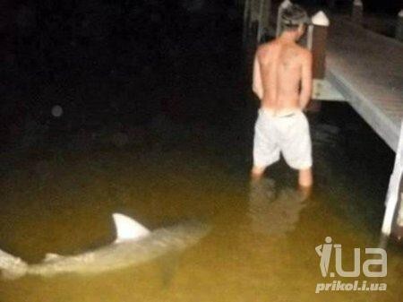 Фото в стиле "за секунду до"