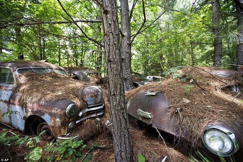 Old Car City – самое большое кладбище классических автомобилей в мире