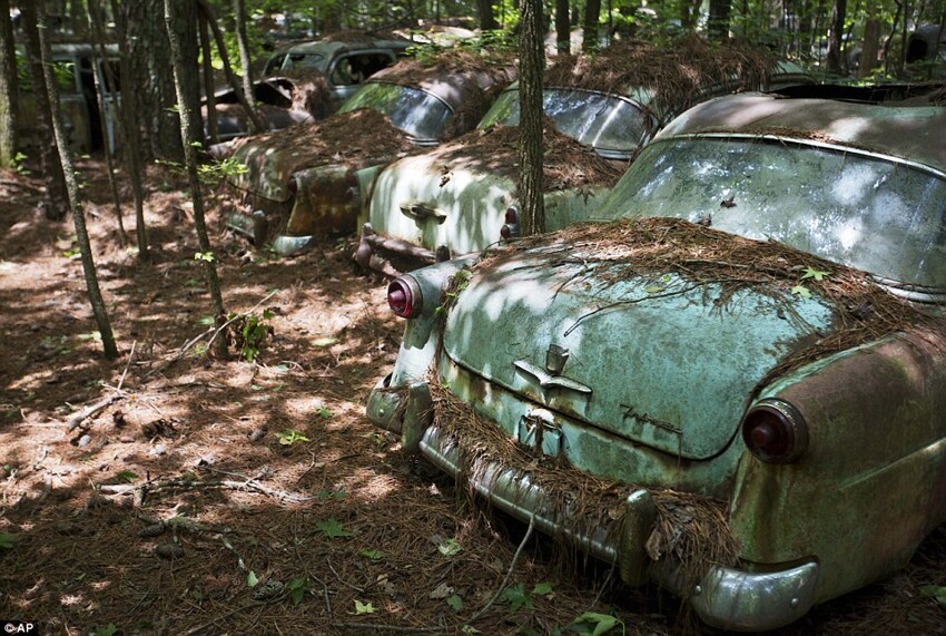 Old Car City – самое большое кладбище классических автомобилей в мире