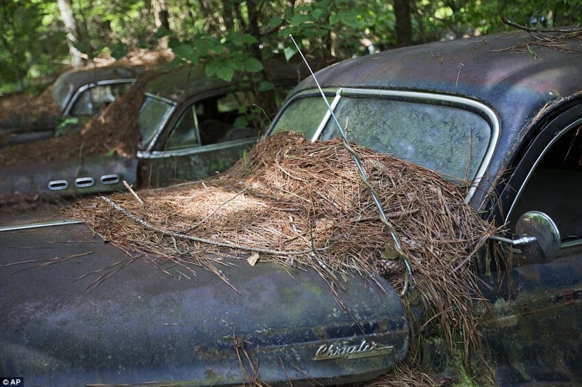 Old Car City – самое большое кладбище классических автомобилей в мире