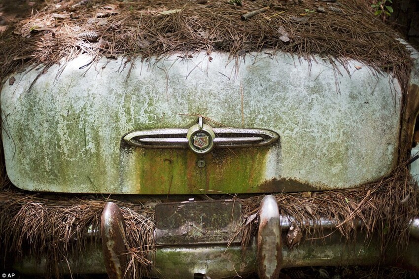 Old Car City – самое большое кладбище классических автомобилей в мире