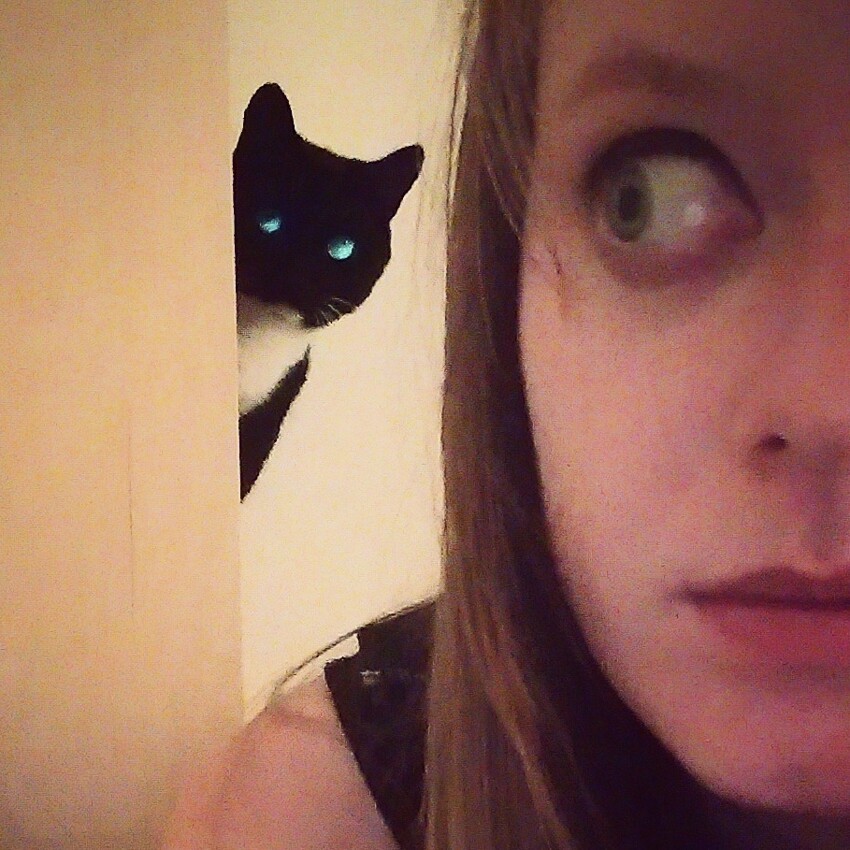 Кот следит за тобой