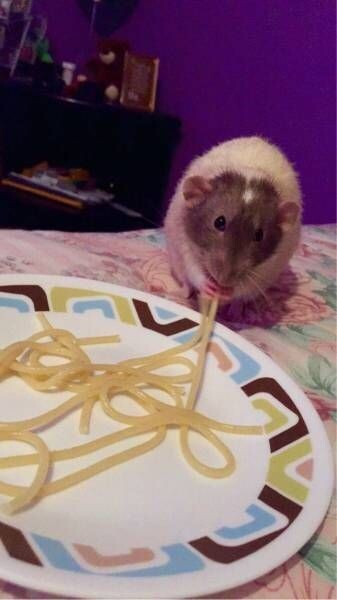 Какие вкусные спагетти 