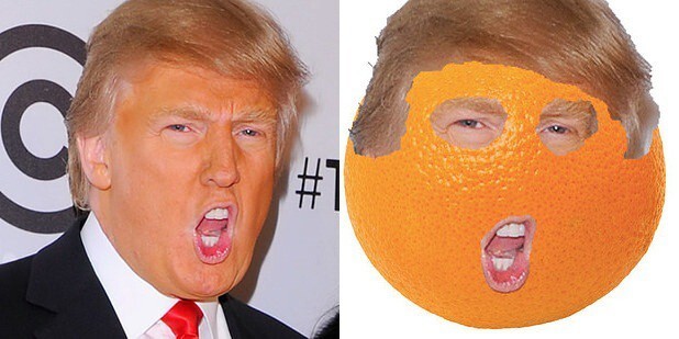 21. И, наконец... говорящий апельсин! (Многие считают, что и по интеллекту тоже.)