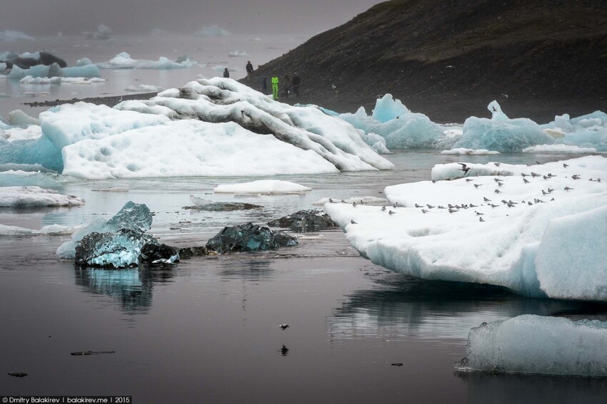 Озеро из ледника Breiðamerkurjökull