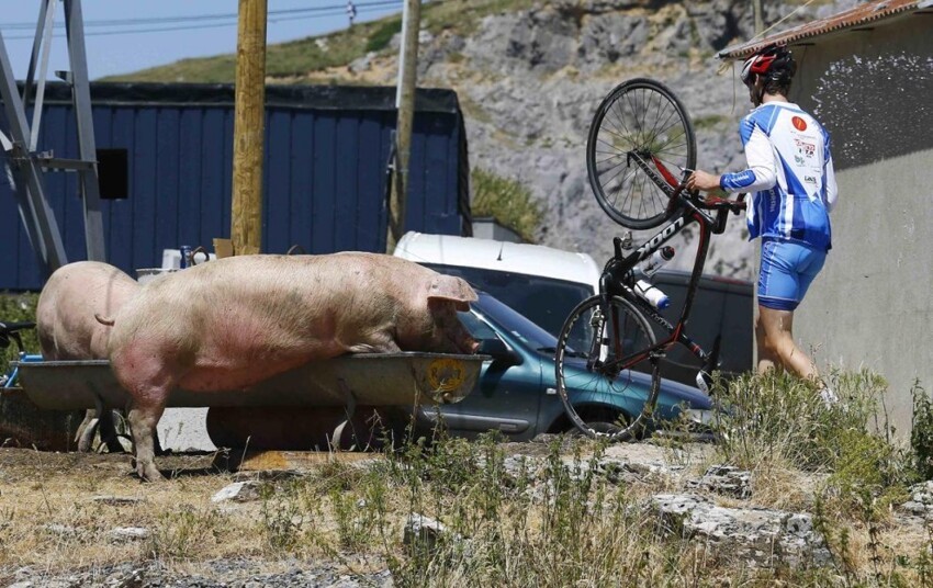 Гонщик несёт свой велосипед недалеко от финишной линии 167-километрового 10-го этапа велогонки «Тур де Франс»