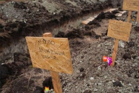 В степях донецких