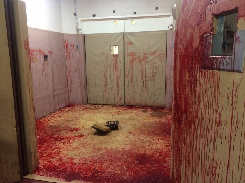"Мой друг работает ветеринаром, в этой комнате была лошадь с кровотечением из носа."