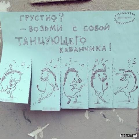 Из солянки