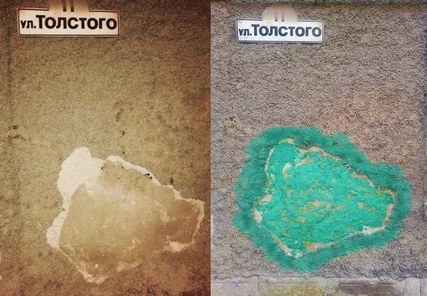 В Симферополе стены и дороги «лечат» «зелёнкой»