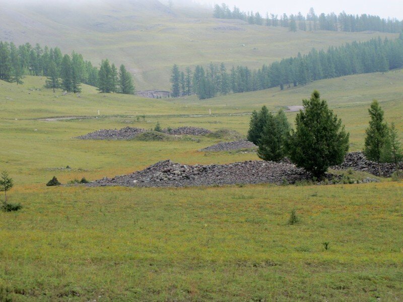 Спят курганы темные